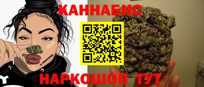 наркотики Кингисепп