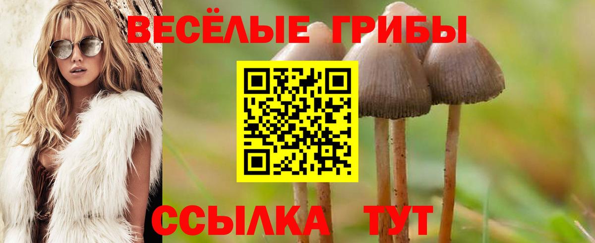 Галлюциногенные грибы ЛСД  Вход с VPN  цены   Магнитогорск 